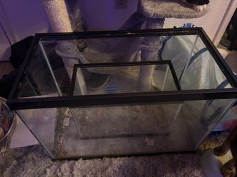 Fish tank