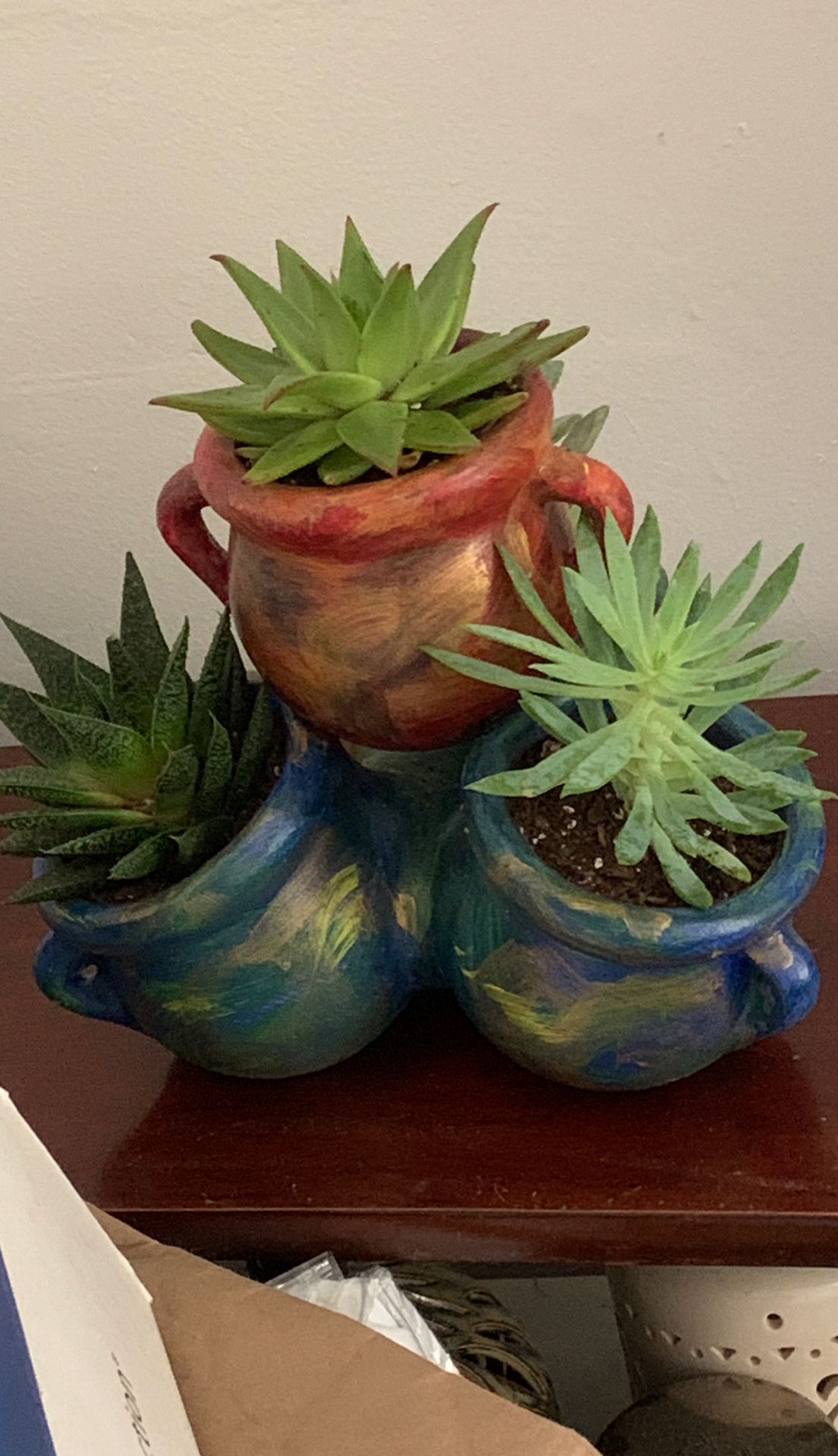 4giant succulents in A Handmade & painted ceramic pottery
