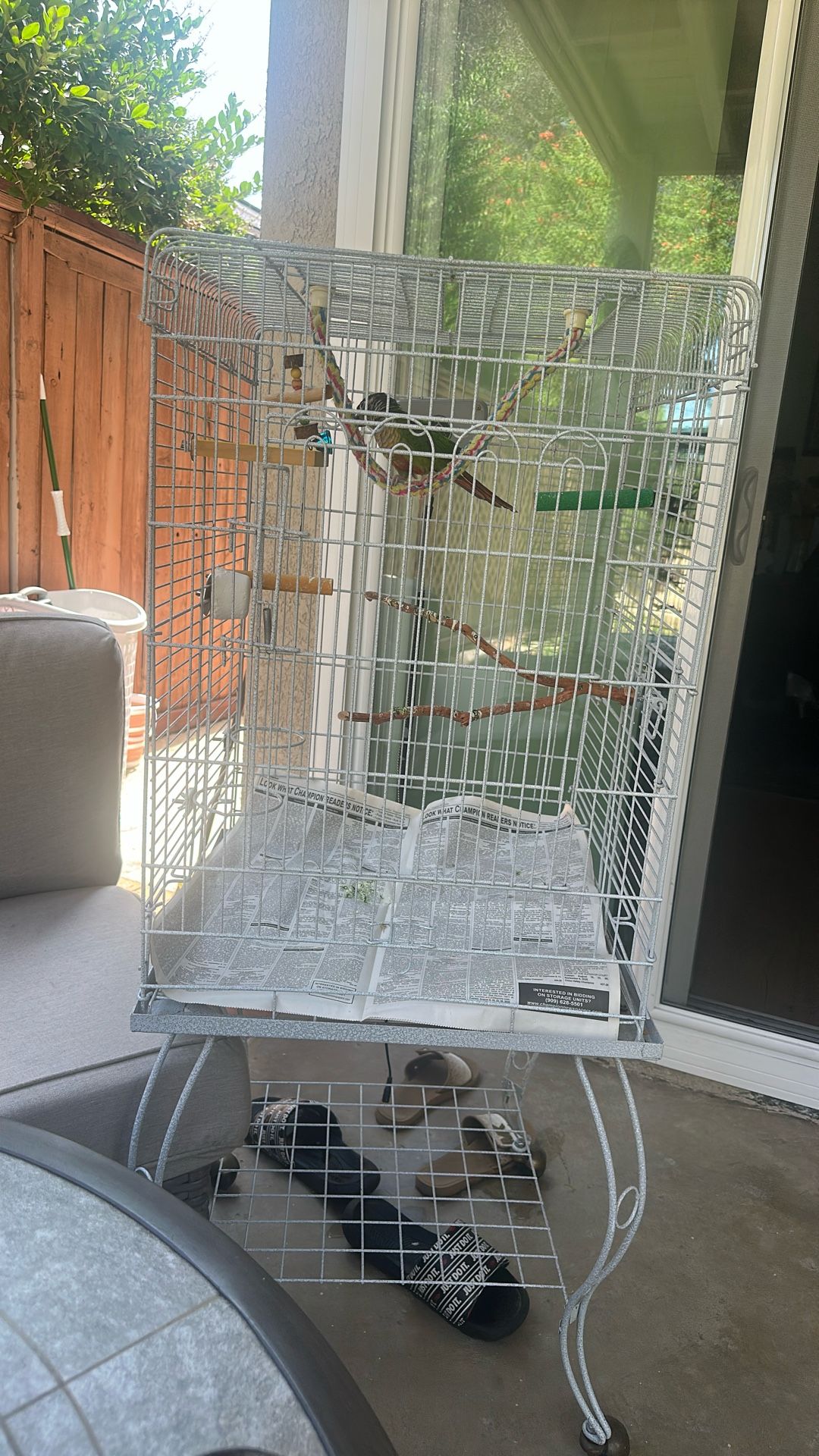 Pet Bird With Cage 