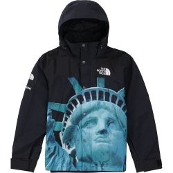 Supreme The North Face Statue of Liberty Mountain Jacket / Parka