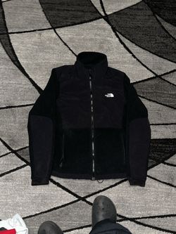 The north face jacket