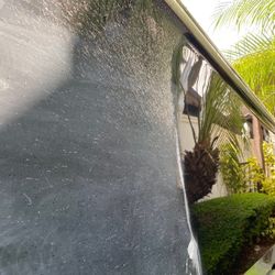 Painting Polish And Wax 