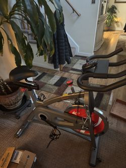 Sunny Flywheel Exercise Bike