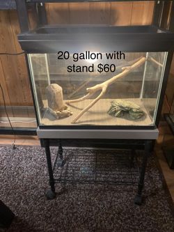Reptile Tanks