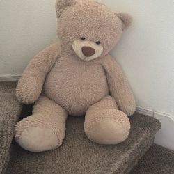 Teddy Bear