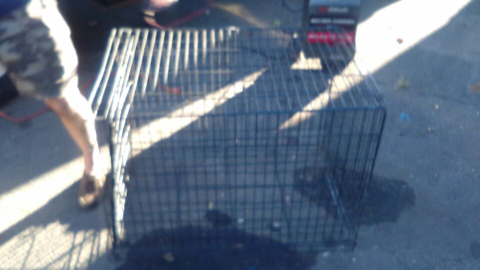 Dog crate