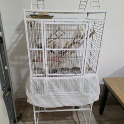 Bird 2 Cage