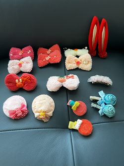Hair Clips Bundle