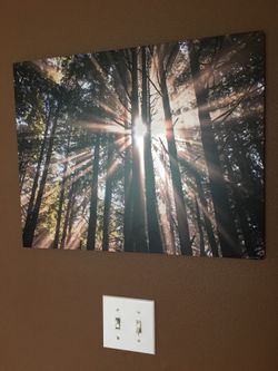 Metal Olympic National Park Photo Print 20” x 16”