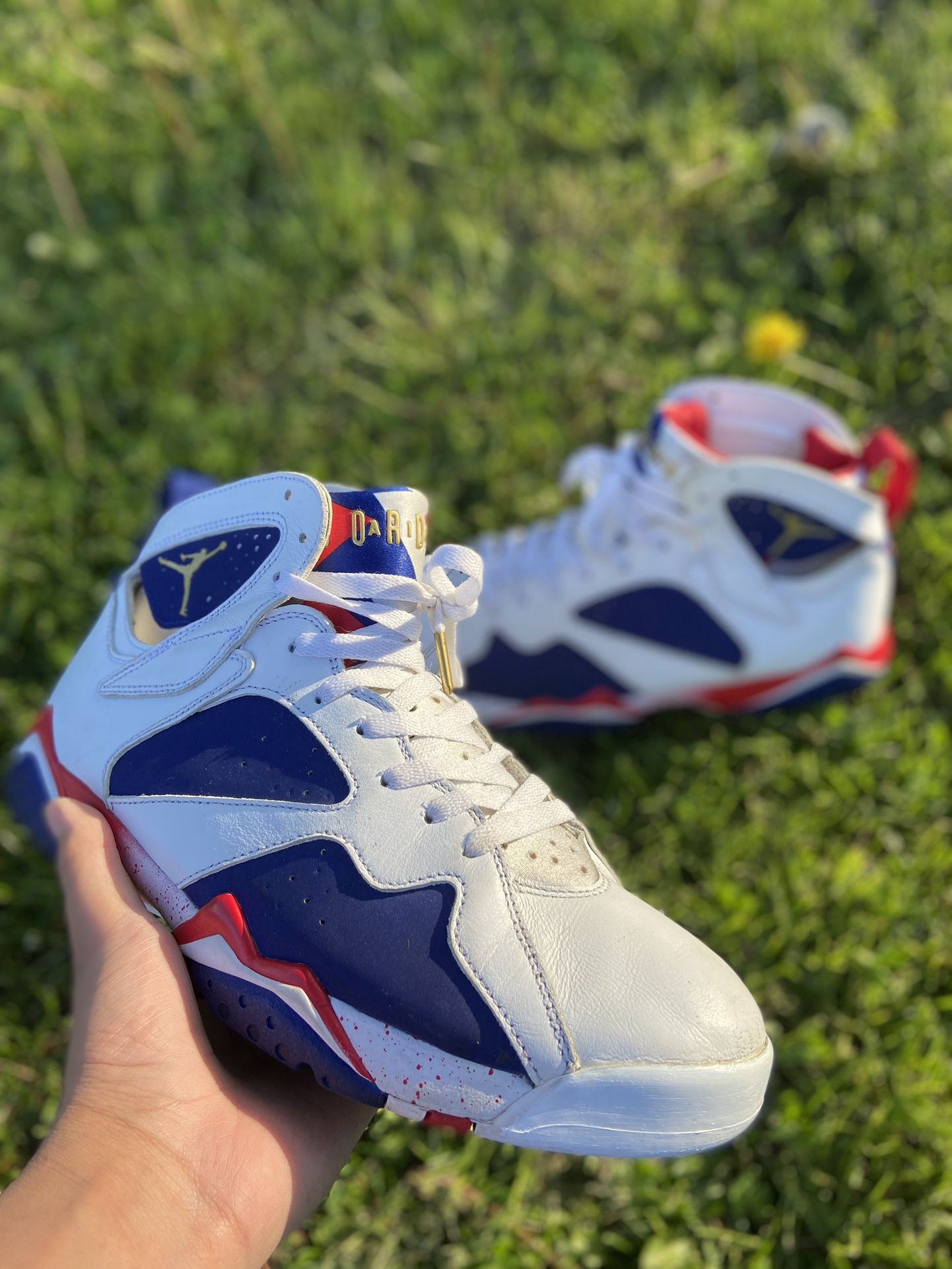 Jordan 7 “Tinker Alternate”