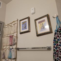 Smallish Dog Pictures