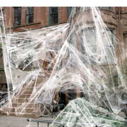 Spider Web with Spiders