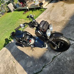 2003 Honda Ruckus