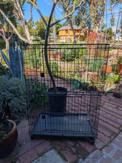 4ft pet cage