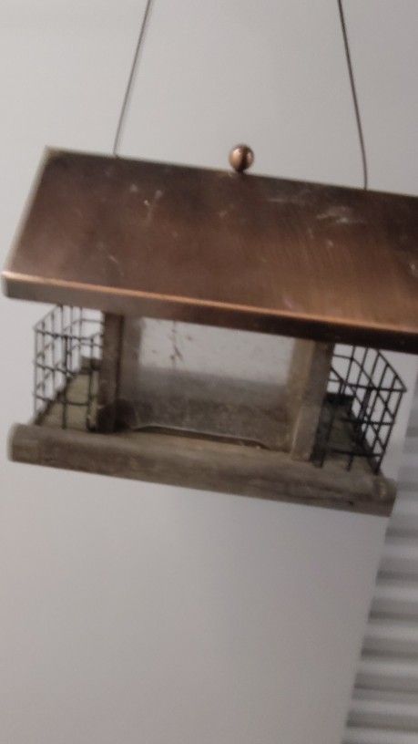 Bird Feeder
