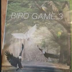 Bird GAME 3 ‼️🐦‍⬛