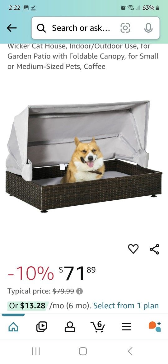 Cool Dog Bed
