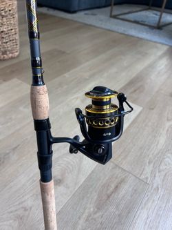 Penn squadron III Spinning Reel and Rod Combo