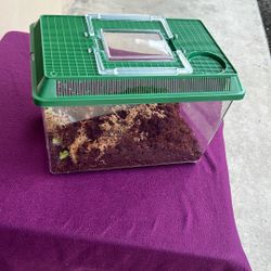 Reptile Cage
