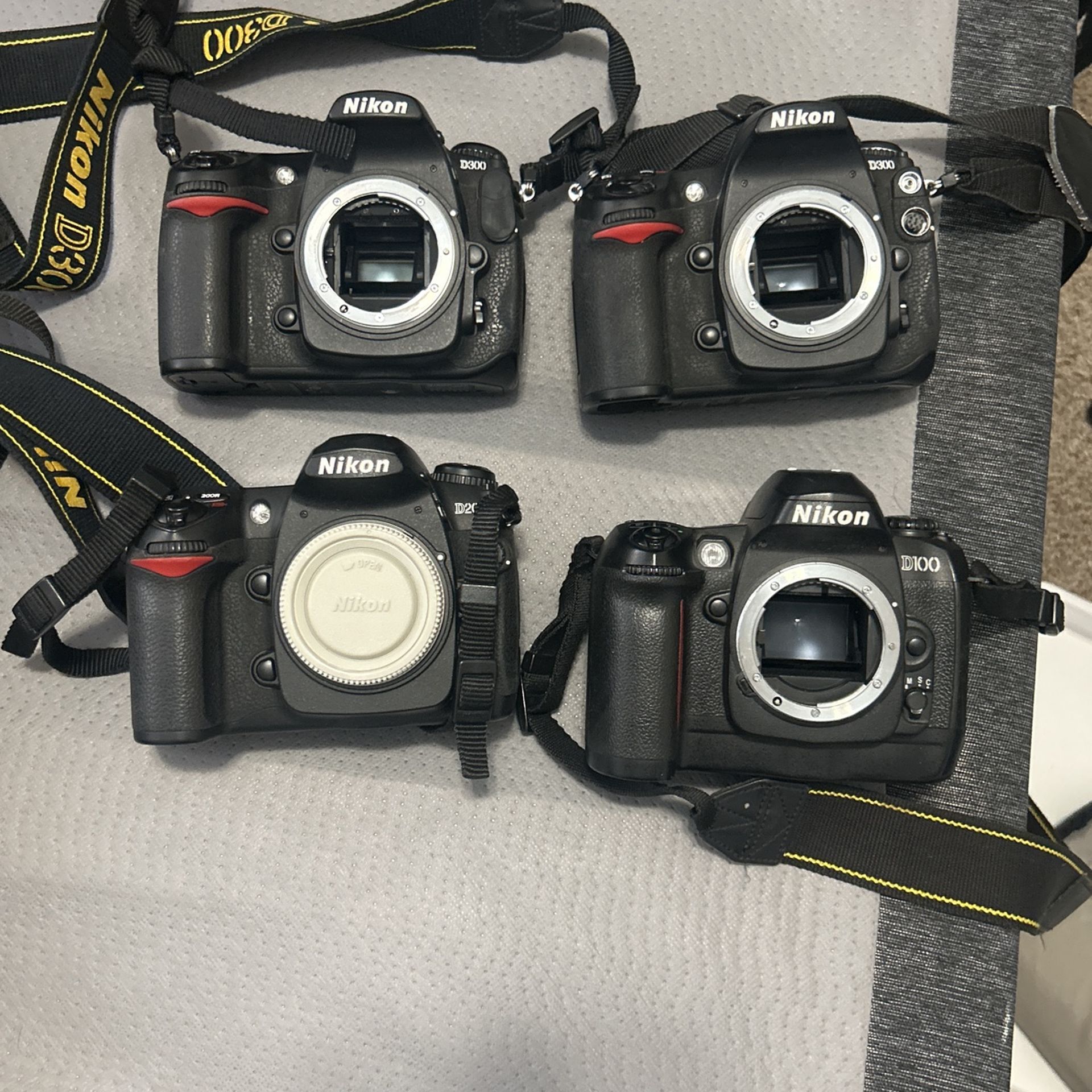 Nikon cameras