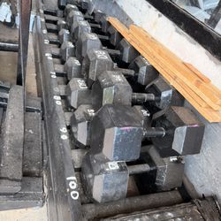 Commercial Gym Dumbbells & Vintage Iron Plates – Heavy Duty