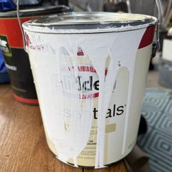 Glidden White Paint - Exterior 