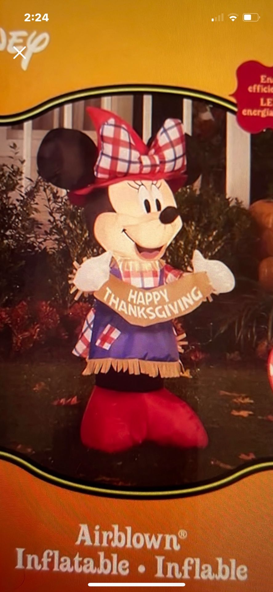Disney Thanksgiving Decorations Inflatable