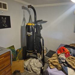 Heavy Bag / Speed Bag