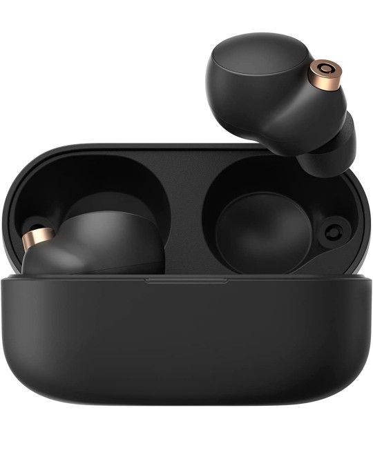 Sony WF-1000XM4 Wireless Noise Canceling Headphones with Alexa Built-in - Black