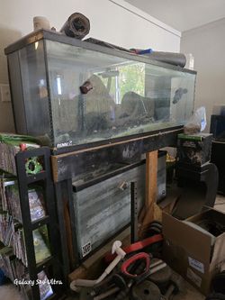 Lower tank and stand