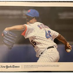 8 x 10 of Pedro Martinez