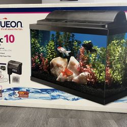 Aqueon Fish Tank 10 Gallon With Accessories 