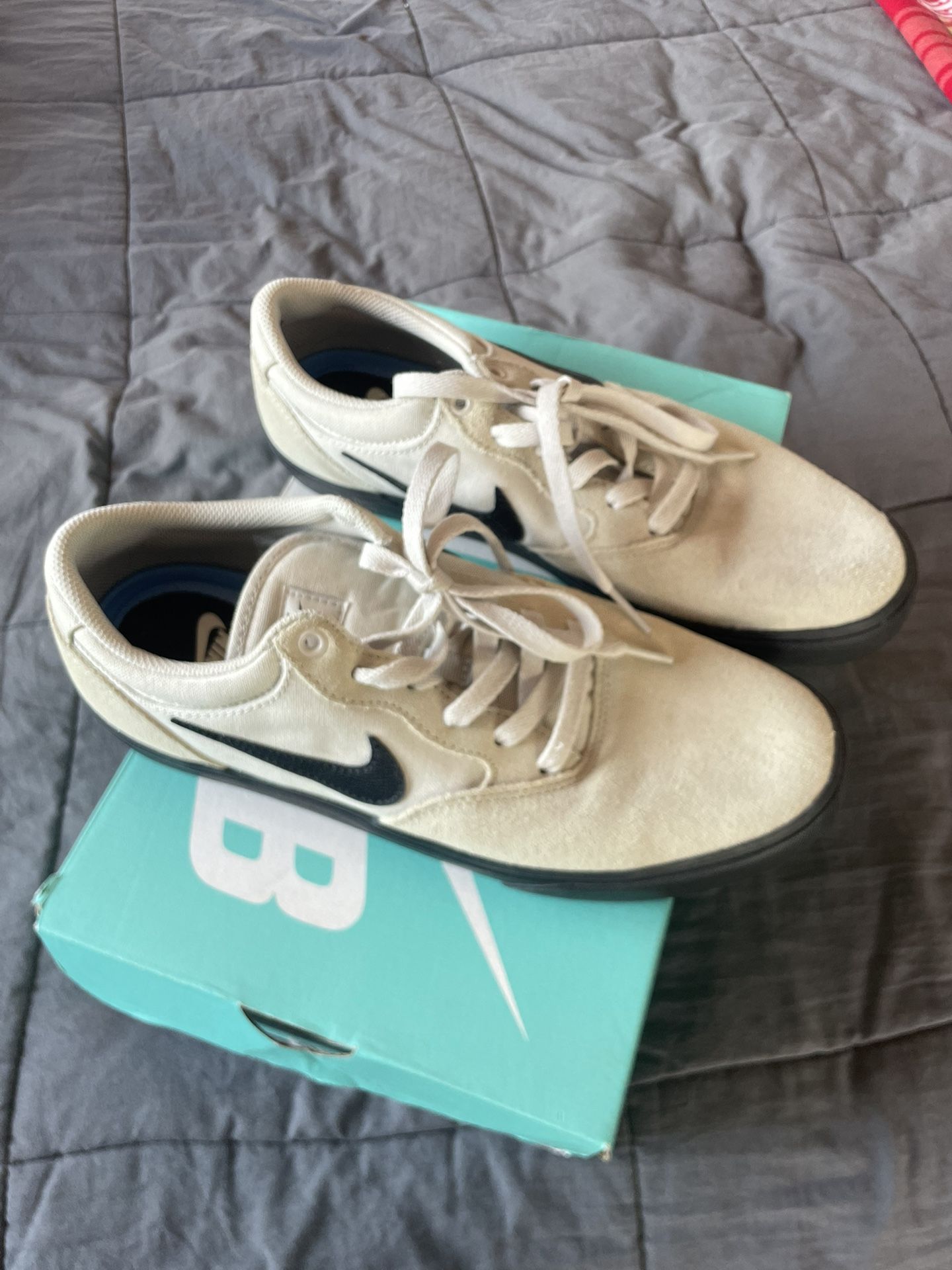 Nike SB Shoes