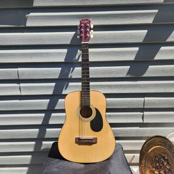 Carla Roberto brand acoustic guitar