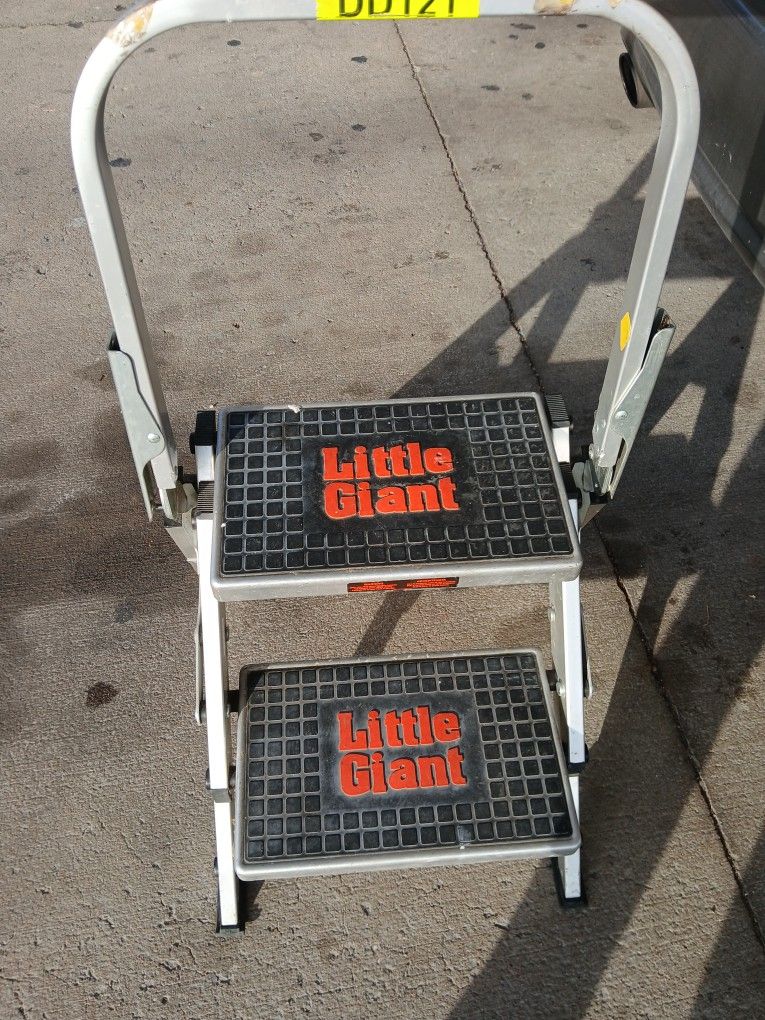 Little Giant Step Ladder