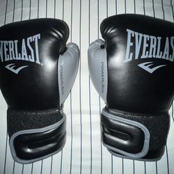 Everlast 16oz Boxing Gloves