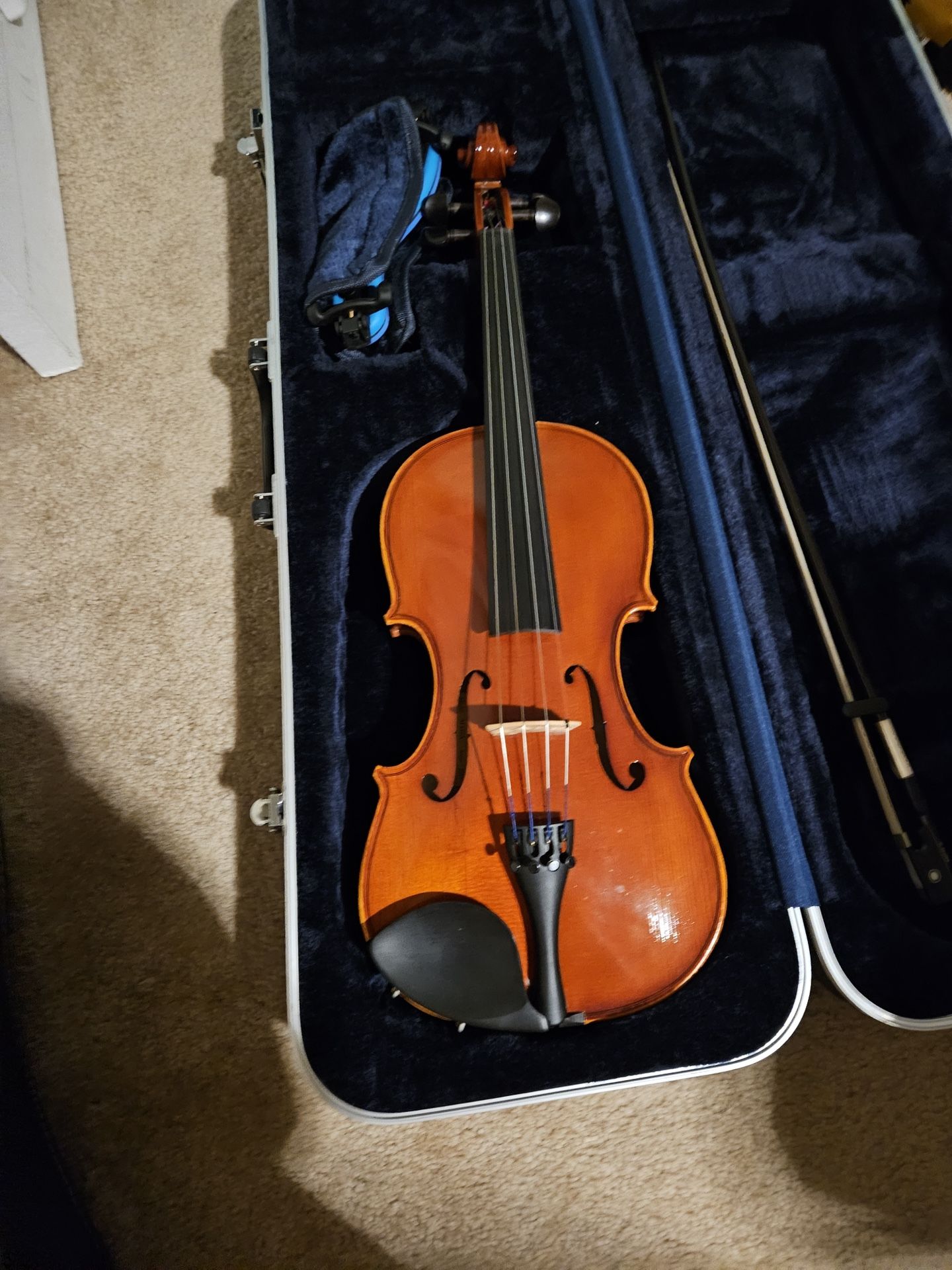 Viola