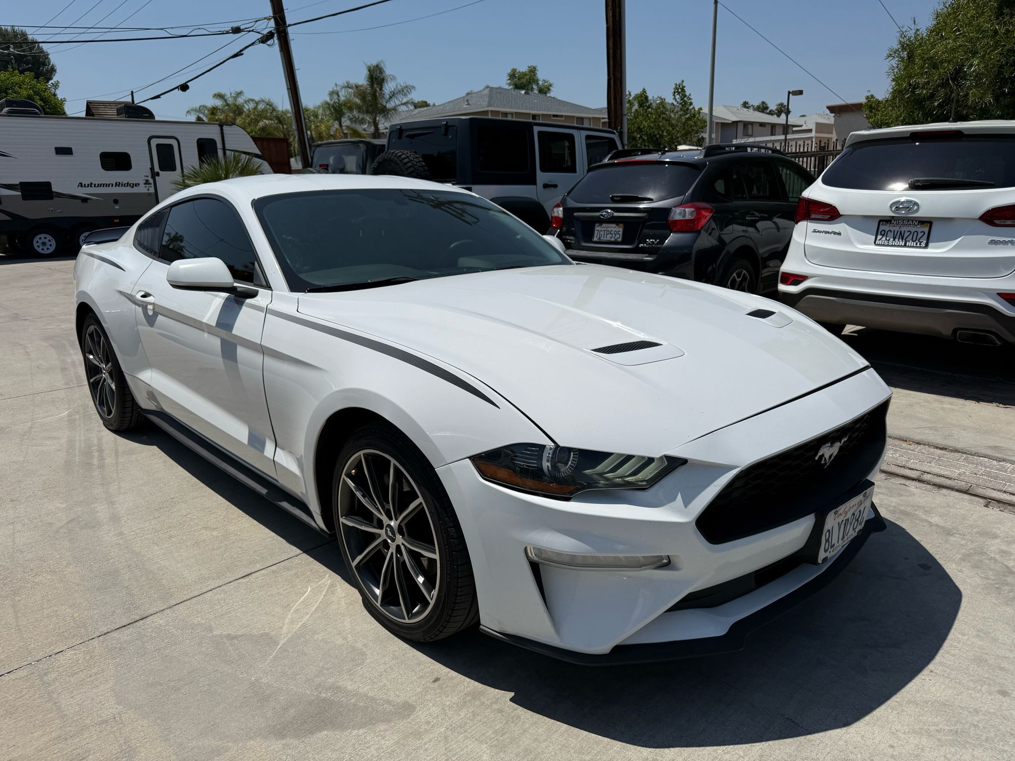 2019 Ford Mustang