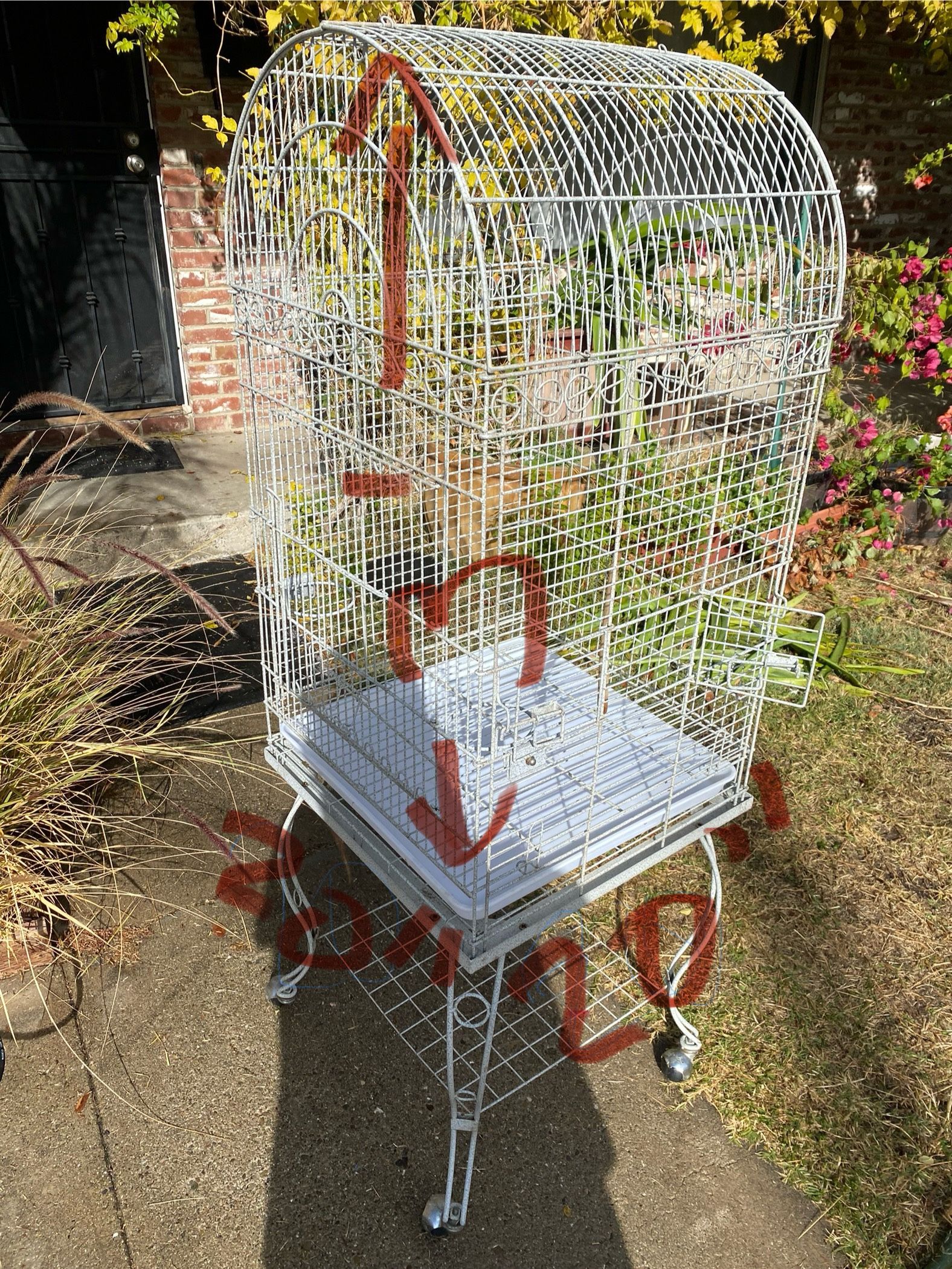 Bird Cage