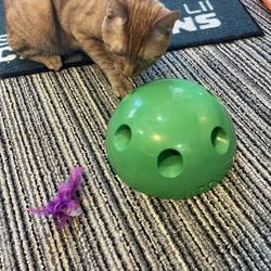 Cat toy INTERACTIVE w/ mouse, batteries & extra feather, $15 like new, more cat stuff 4 sale 19082