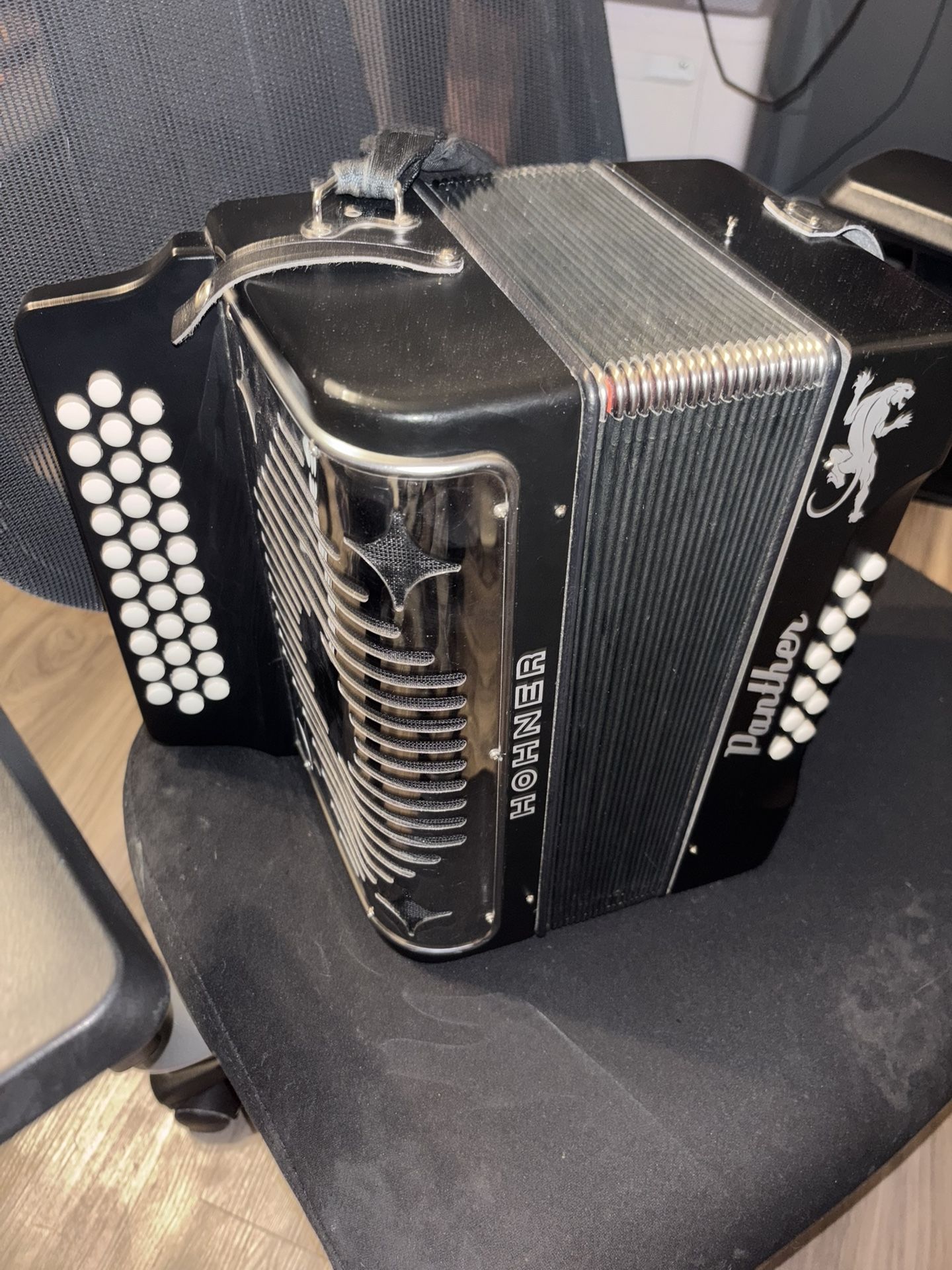 Hohner panther acordeon
