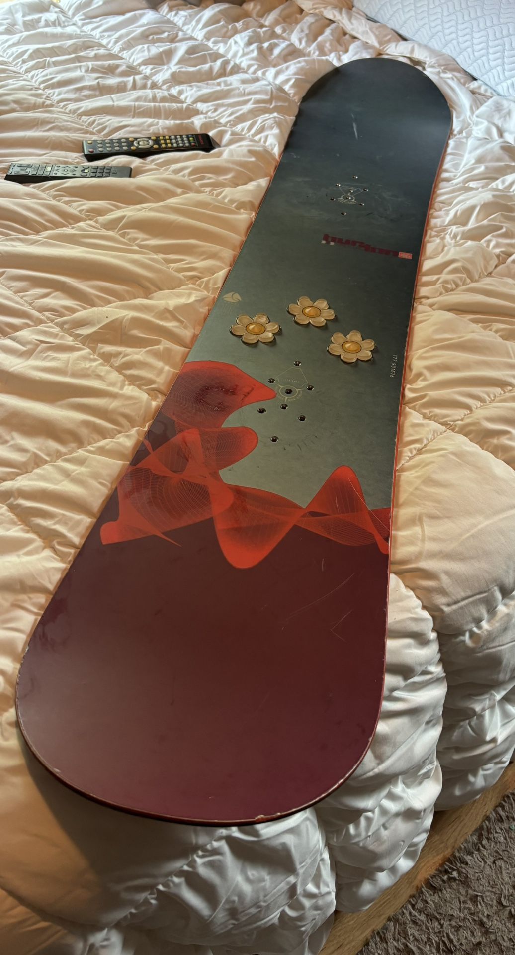 Burton Snow Board