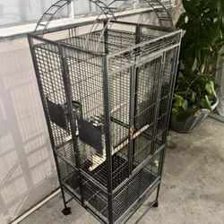  Bird Cage