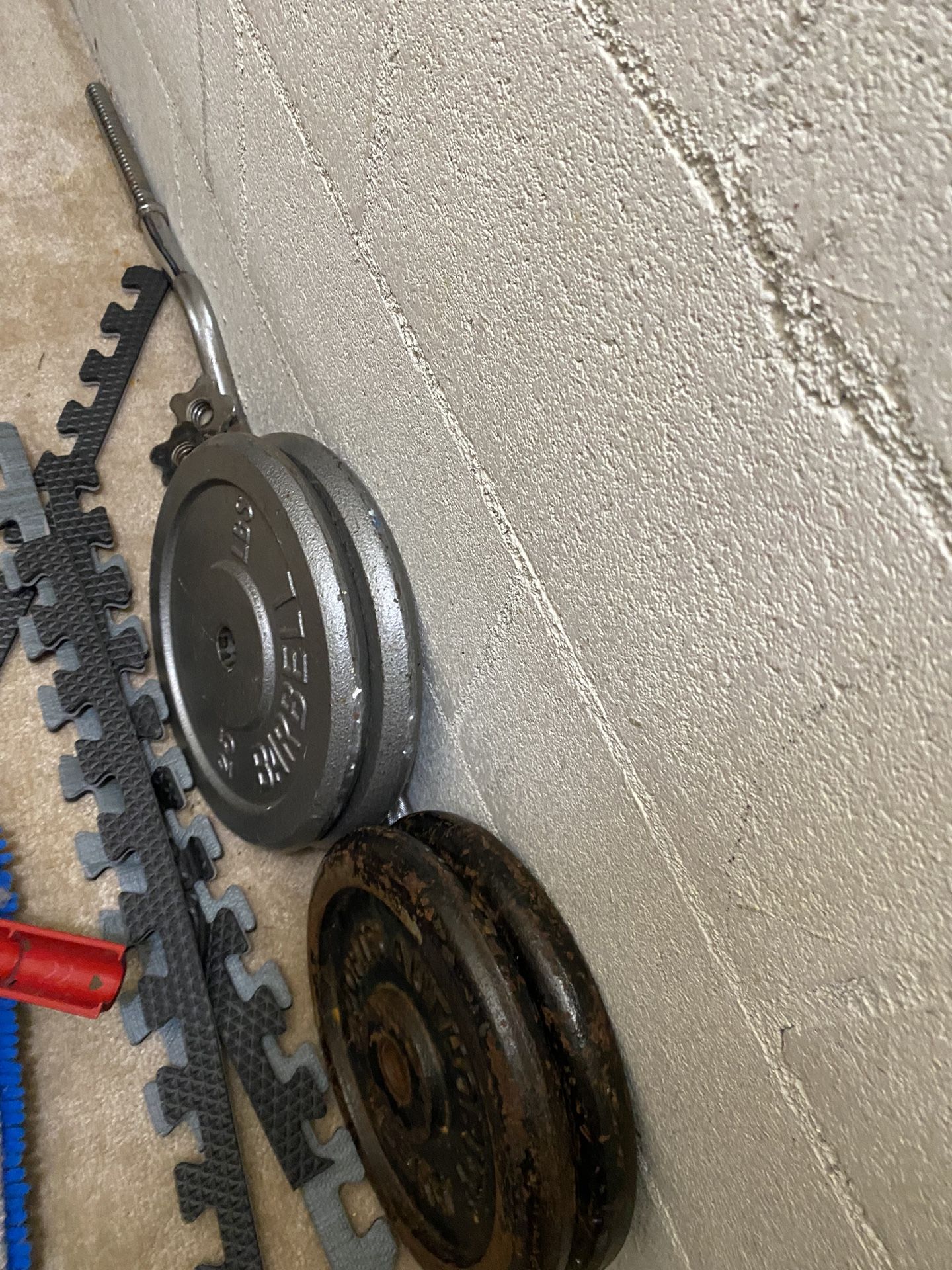 Curl Bar With $100 Lbs