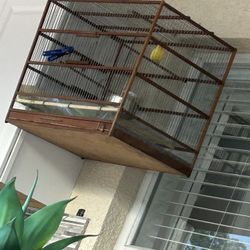 Bird Cage