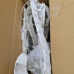 Cat Skeleton Mummy, Halloween Decorations,  Mummy Cat, Pumpkins, Etc....