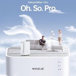 Dehumidifier 