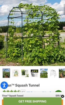 Titan Squash Arch Tunnel Trellis Garden