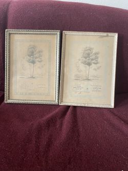 Two Old Certificates For Tree Planting In Israel 