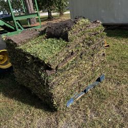 St Agustine Grass Pallets